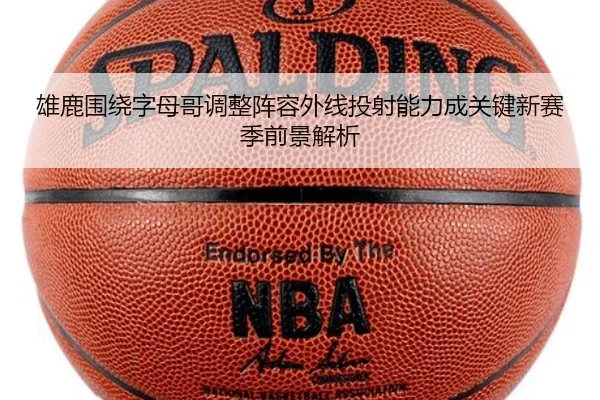 雄鹿围绕字母哥调整阵容外线投射能力成关键新赛季前景解析